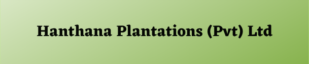Hanthana Plantations Pvt Ltd 